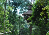 Tree house, Laos