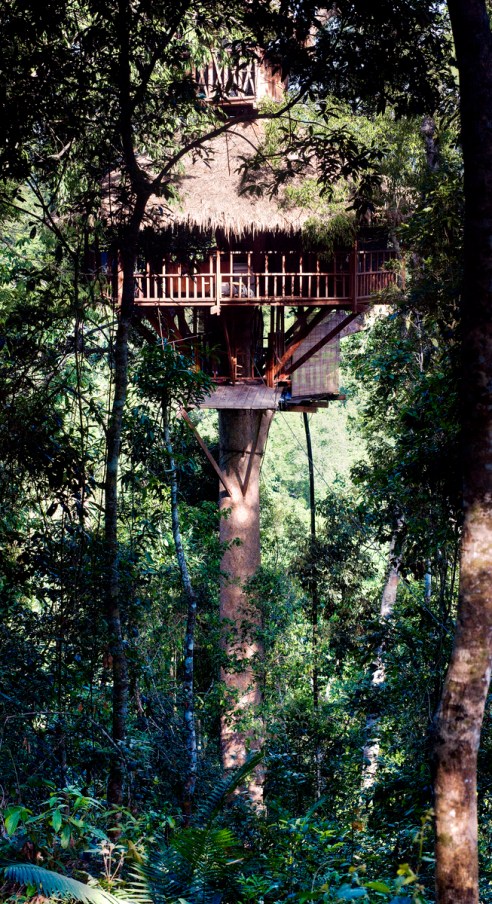 treehouse_Pan2