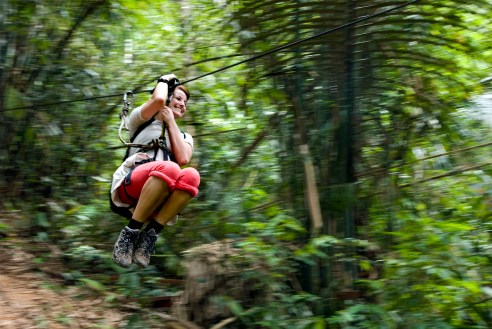 zip A guest at the 'Gibbon Experience' riding part of the 52 km. of zip lines in Bokeo, Laos.