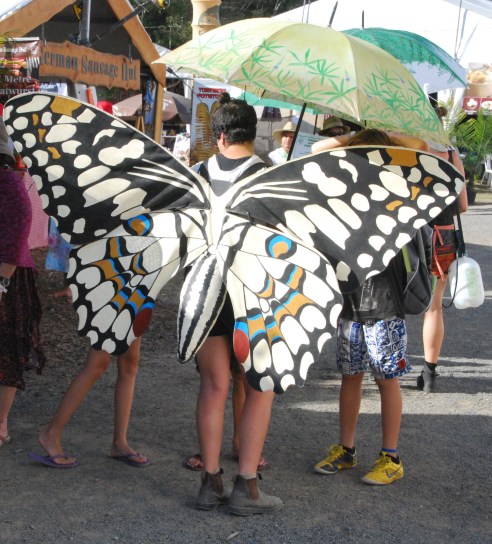 woodford-butterfly-02