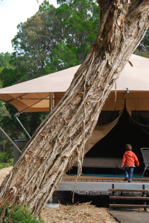 MORETON ISLAND GLAMPING