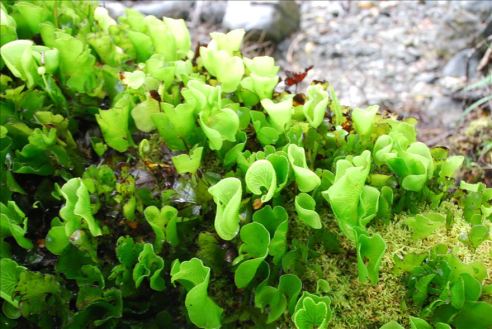 vcm_s_kf_repr_880x589