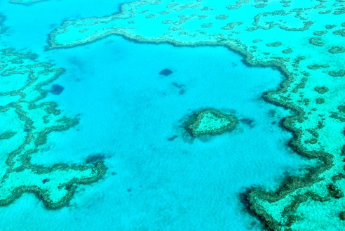 Heart Reef