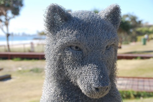 Wolf by Ivan Lovatt (QLD). Made of chicken wire. 