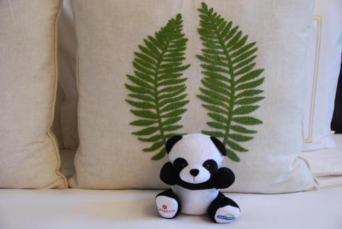 11713812_10154168527942818_3113029082817569675_o