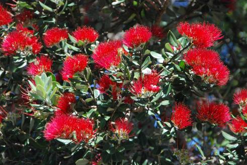 12371006_10154539881282818_6605877229794897166_o