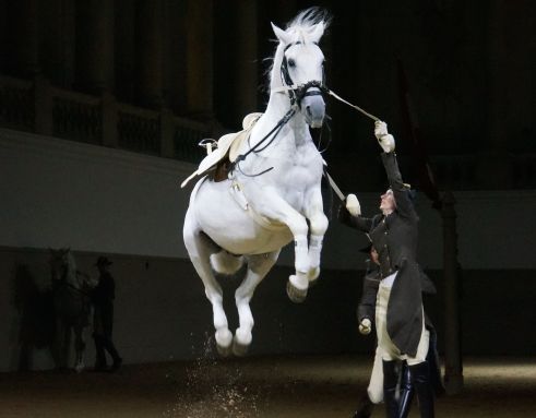 44065473_10158055114407818_312183279912484864_o